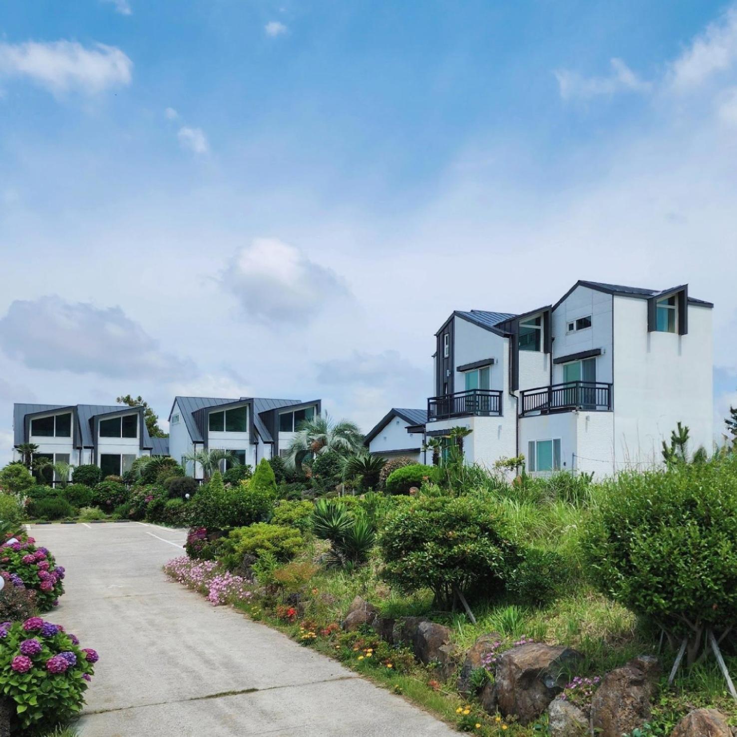 Jeju 542 Pension Согвипхо Экстерьер фото